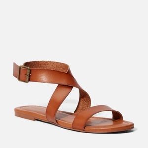 Soleila flat sandal from just fab t